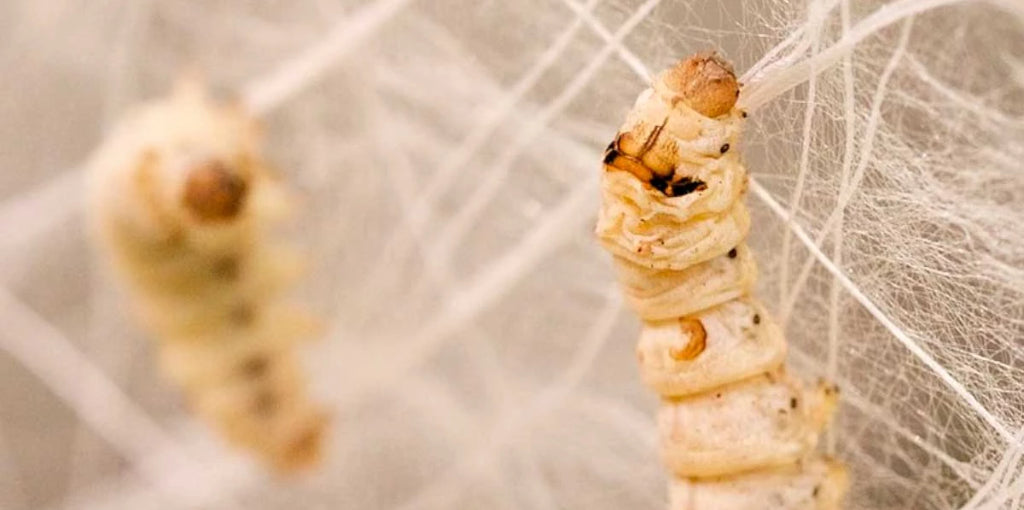 Silk: The Ultimate Breathable Fabric for Comfort in Any Season