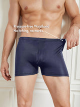 [Dark Blue] SilkSilky  Men's Underwear 005