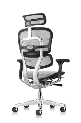 Ergohuman Eurotech Gen2 High Back, Mesh Executive Office Chair With Adjustable Lumbar Support – Ergonomic Tilt Control, Seat Slider, Armrests And Headrest Adjustment, Grey