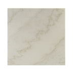ACME Furniture Coffee Table, White Marble and Black