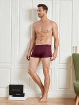 [Wine] SilkSilky  Men's Underwear 006