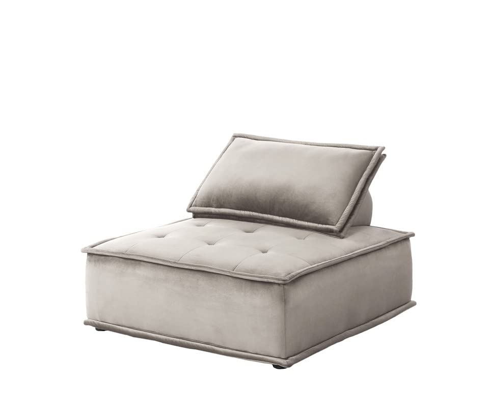 Lilola Home Anna Light Gray Velvet Set of 2 Armless Lounge Chair