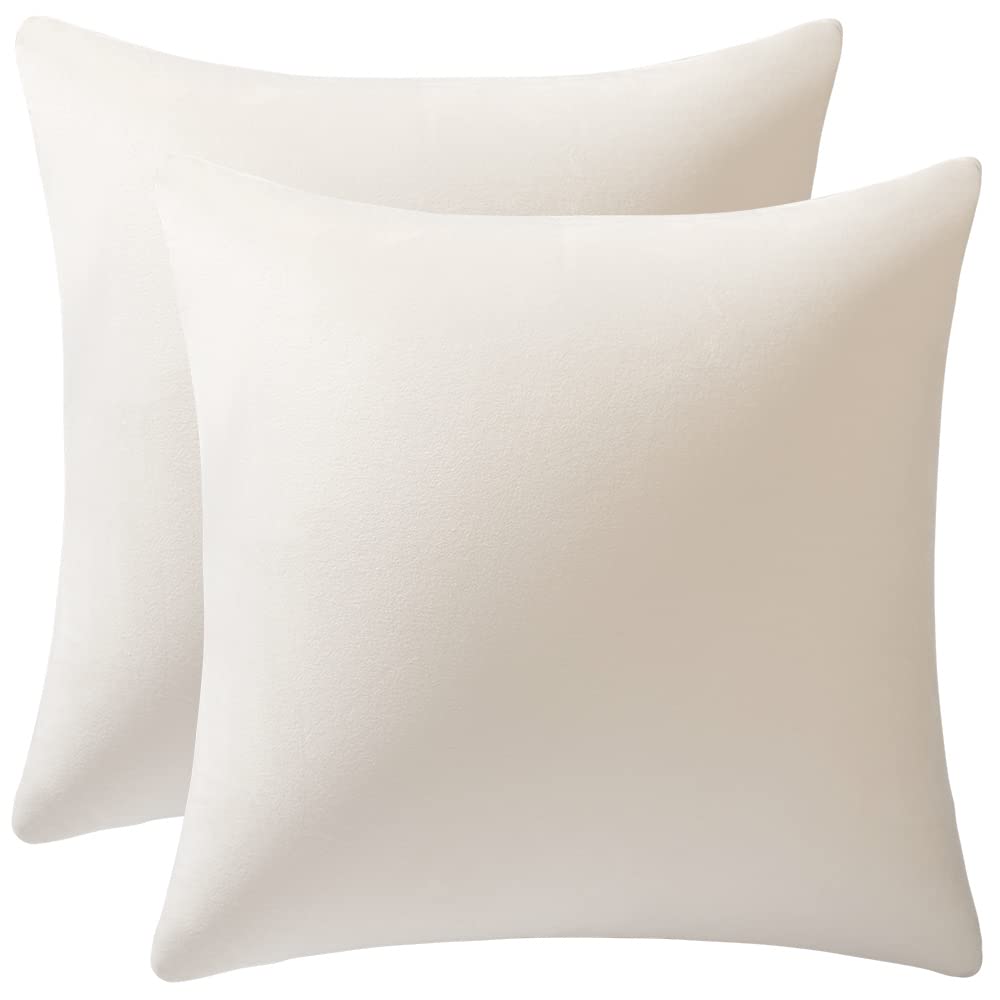 Dezene Couch Pillow Covers 20X20 Cream: 2 Pack Cozy Soft Velvet Square Throw Pillow Cases For Farmhouse Home Decor