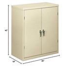 Two Shelf Steel Storage Unit Finish: Putty