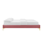 Modway Mod-6307-Dus Sutton King Performance Velvet Bed Frame, Dusty Rose