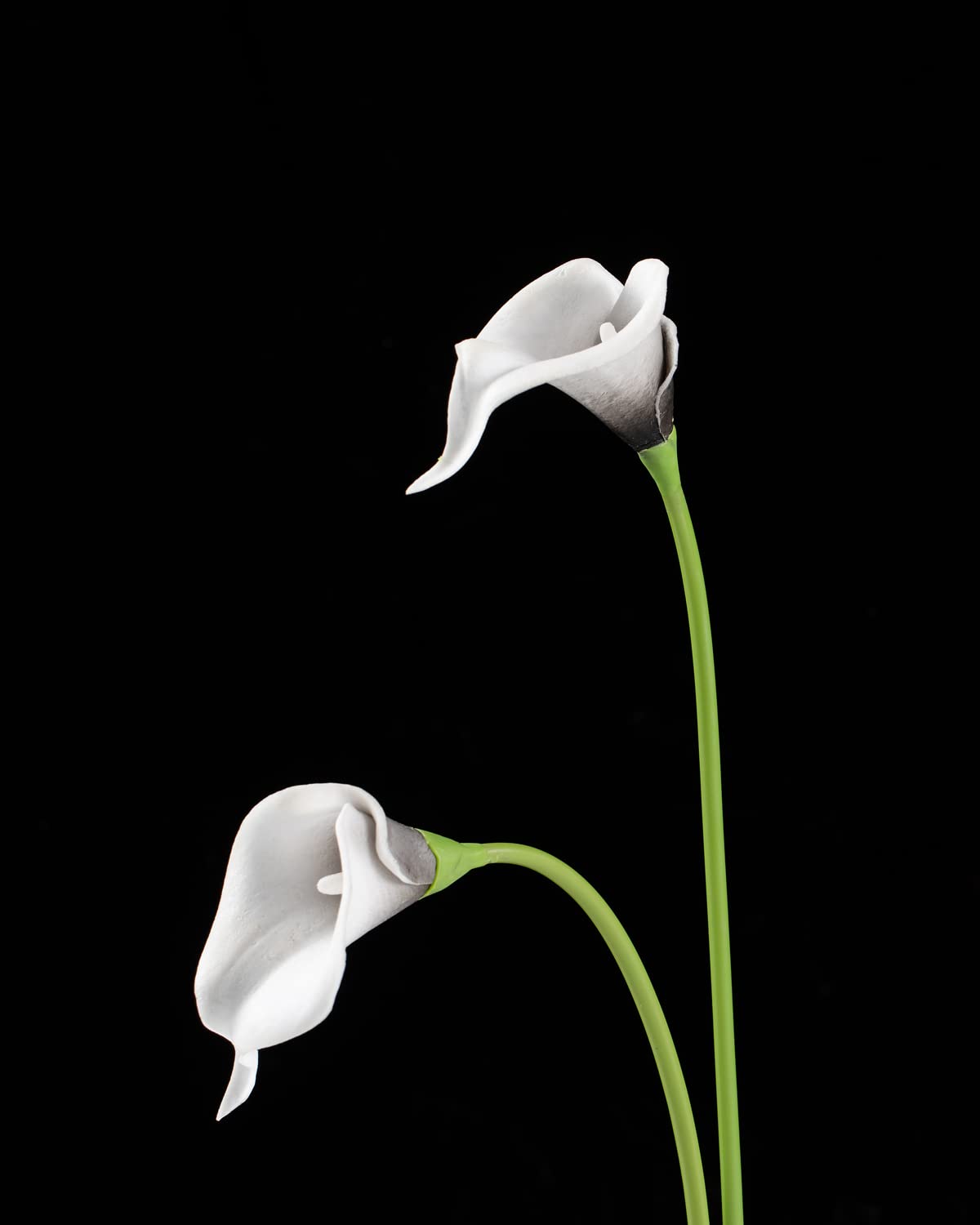 DuHouse Calla Lily Artificial Flowers - 20Pcs Real Touch Latex, Black White for DIY Wedding Bouquet & Home Decor