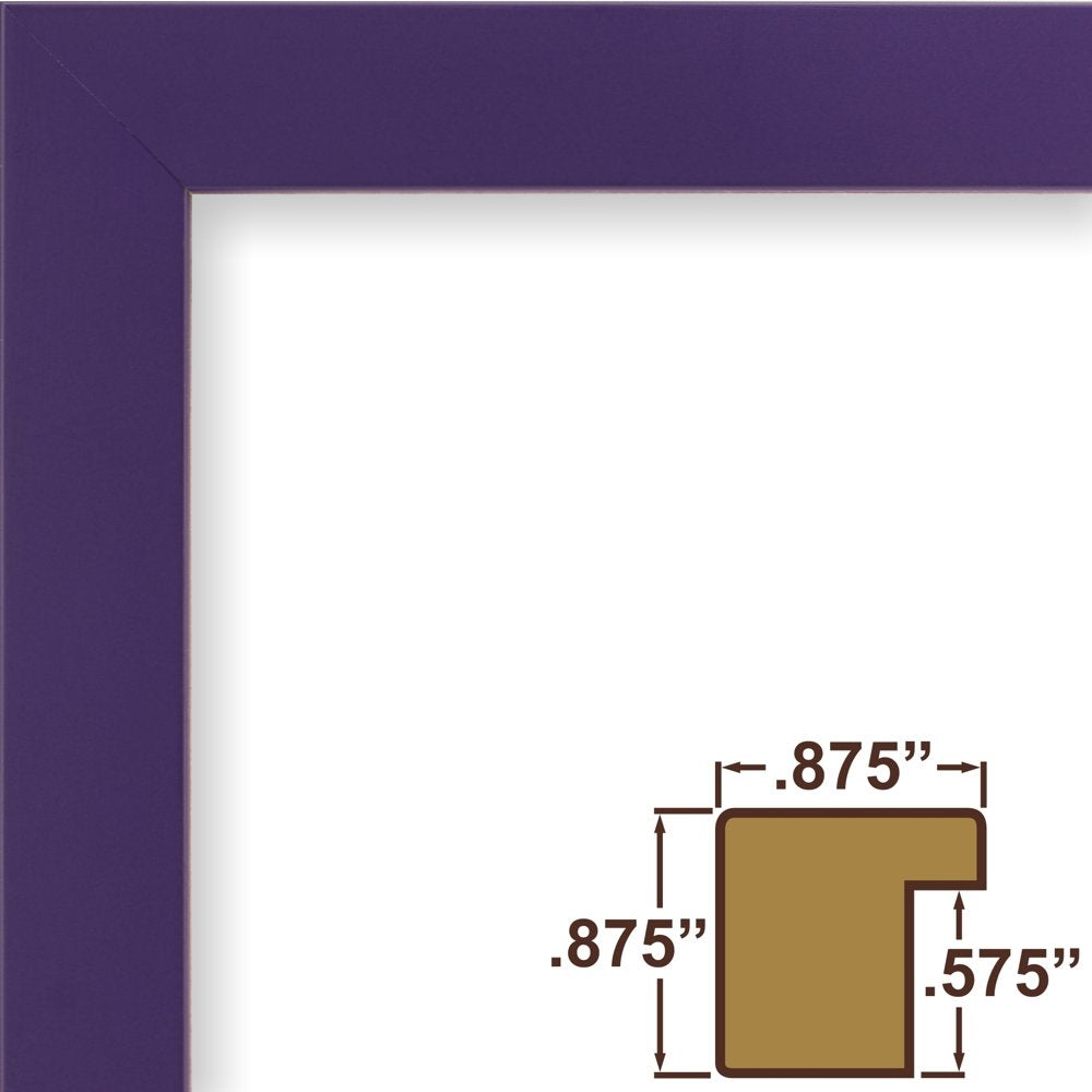 Craig Frames Confetti, Modern Purple Picture Frame, 20 X 24 Inch