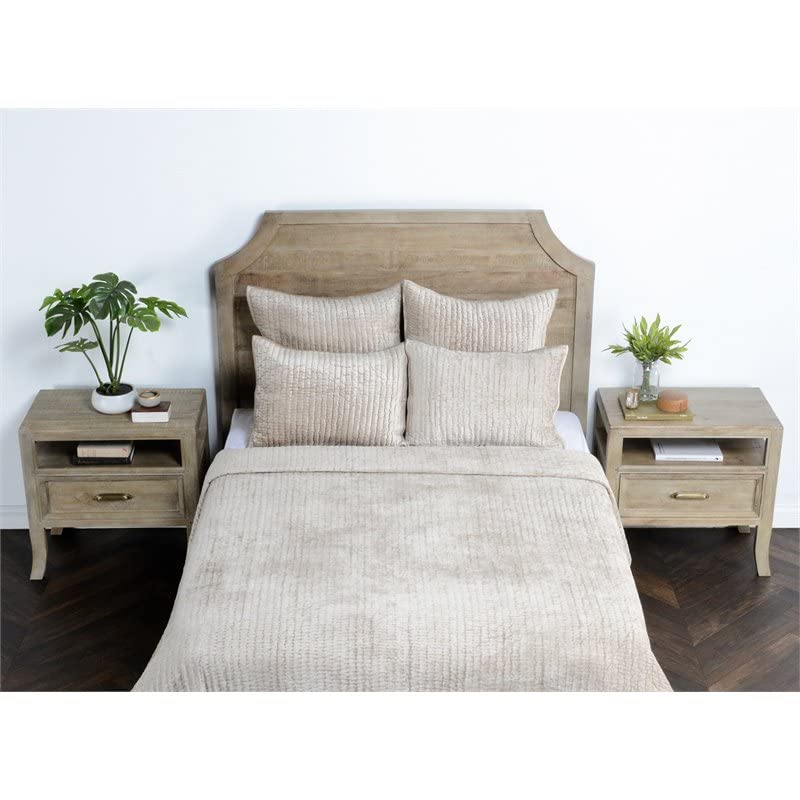 Kosas Home Dimitry 20X36 Velvet And Solid Cotton King Sham In Pebble Beige