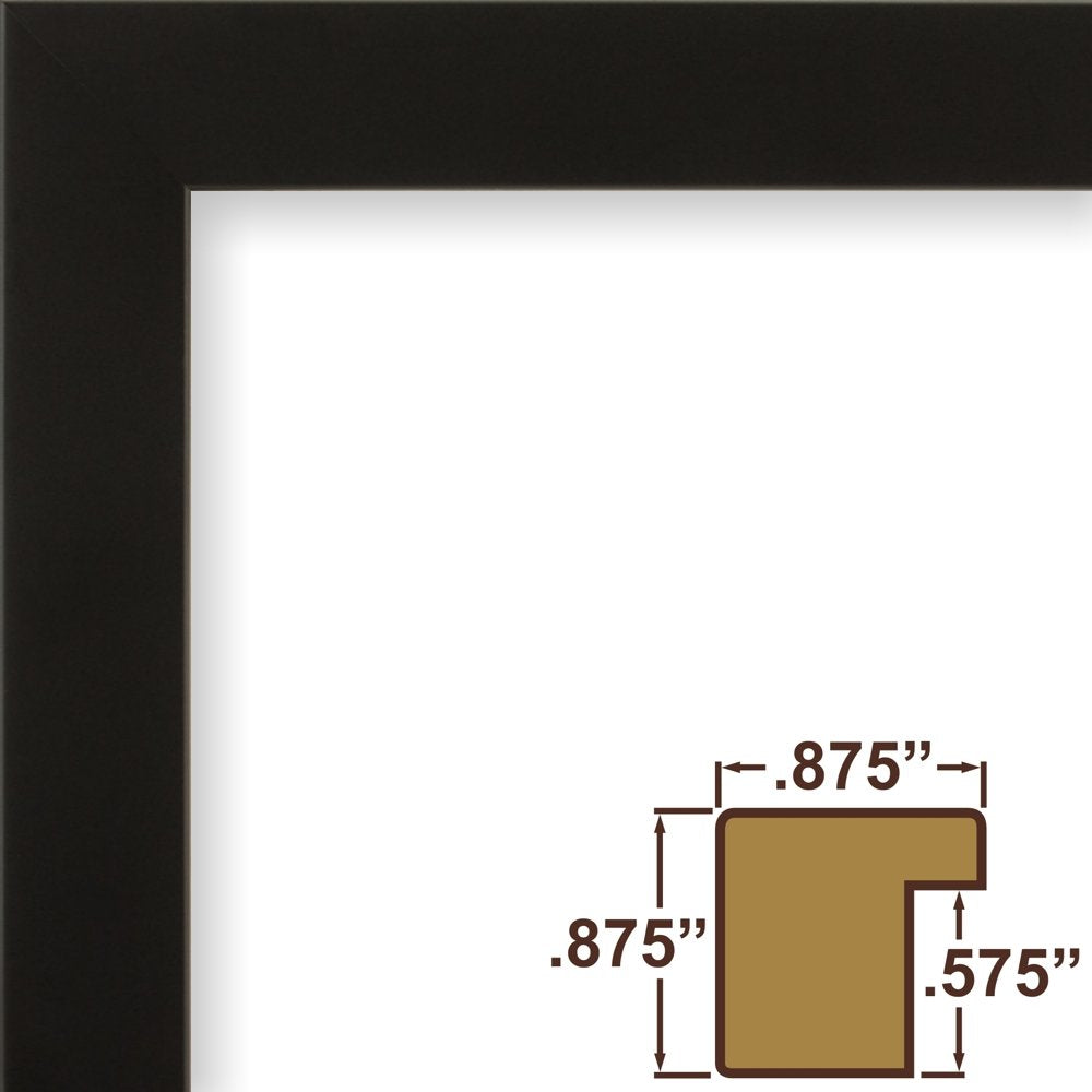 Craig Frames Confetti, Modern Black Picture Frame, 19 X 25 Inch