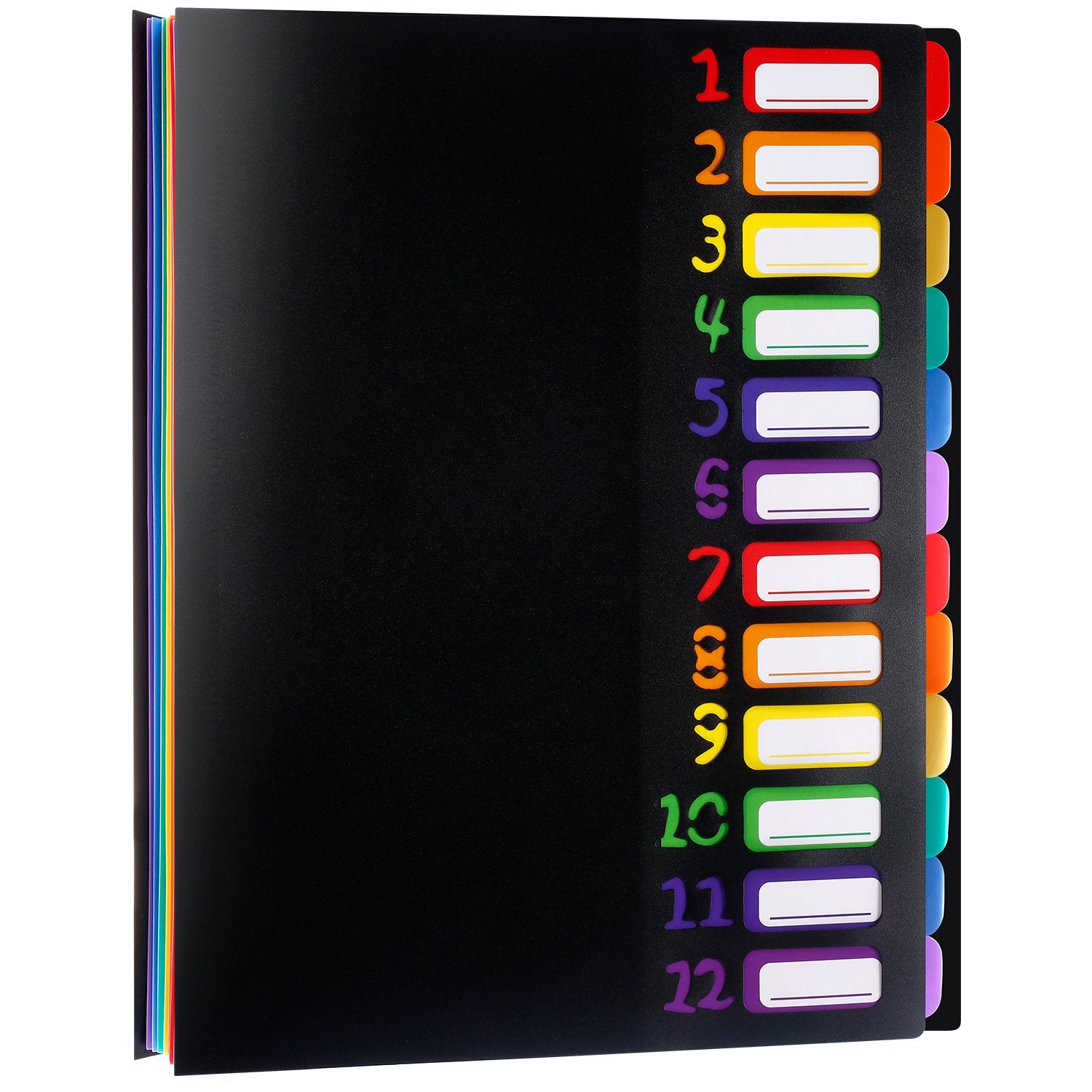 Shappy 12 Pocket Expanding File Folder With Rainbow File Folders Organizer Multicolored Pockets A4 Size Document Organizer For S