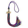 Endea Graduation Single Color Tassel with Gold Date Drop (Rainbow, 2020)