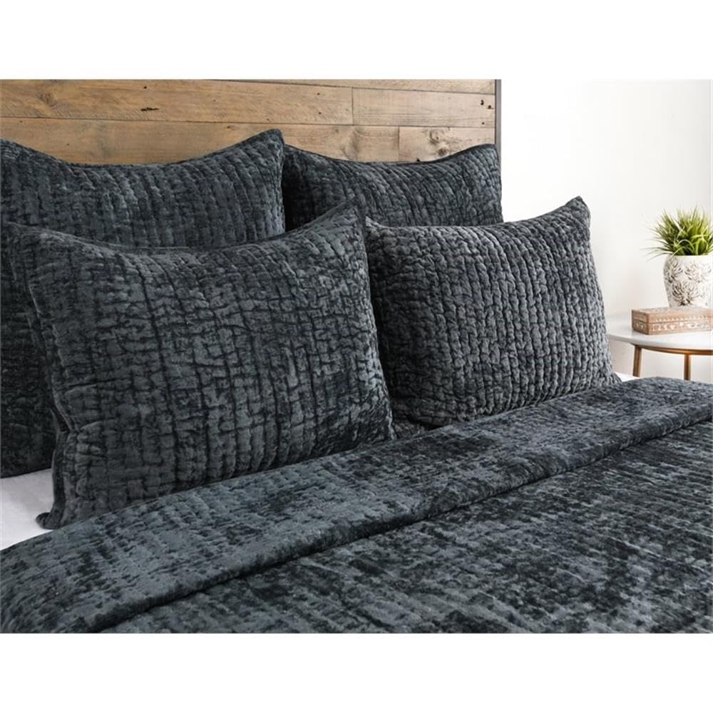 Kosas Home Dimitry 20X26 Velvet And Solid Cotton Standard Sham In Bay Green