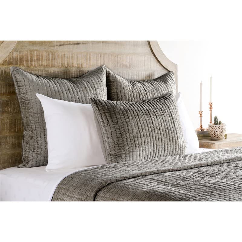 Kosas Home Dimitry 20X36 Rayon Velvet And Solid Cotton King Sham In Ivory