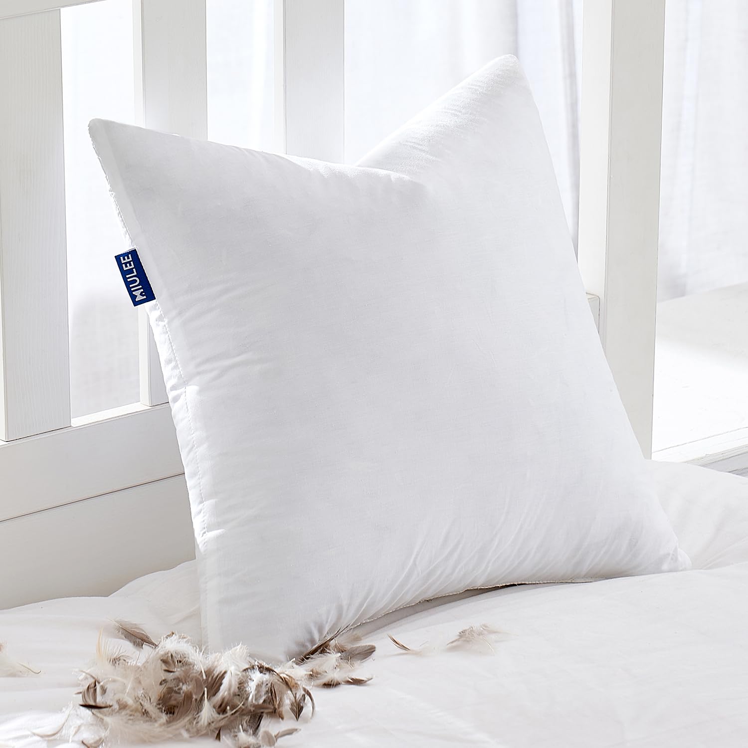 Miulee Feather Pillow Insert 22X22, Decorative Down Throw Pillow Insert Fluffy Throw Pillow Cotton Fabric For Sofa Bed Couch