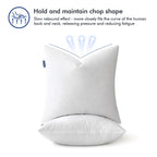 Miulee Feather Pillow Insert 26X26, Decorative Down Throw Pillow Insert Fluffy Throw Pillow Cotton Fabric For Sofa Bed Couch