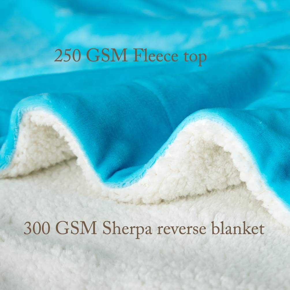 Lbro2M Sherpa Fleece Bed Blanket Fuzzy Plush Warm Super Soft Cozy Fluffy Microfiber Couch (Teal, Twin(65X90 Inches))