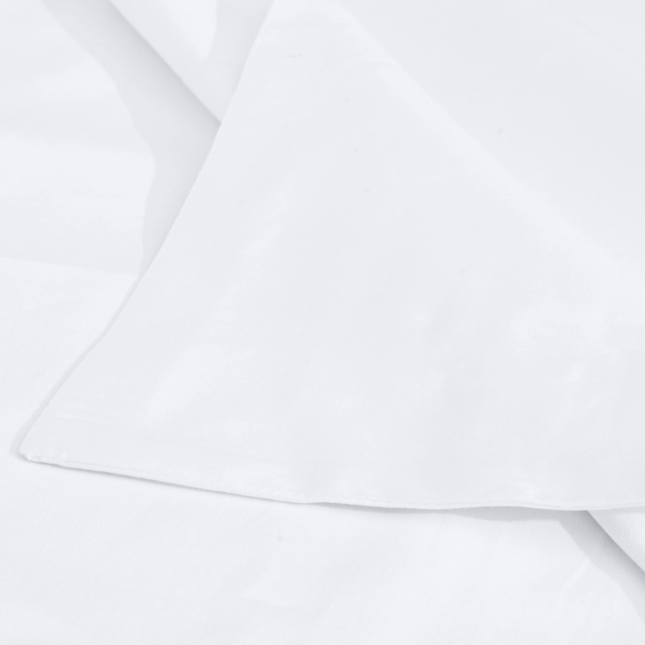 Ntbay 2 Pack 500 Thread Count 100% Egyptian Cotton Euro Pillow Shams, Super Soft And Breathable European Throw Pillow Covers, Square Pillow Cases, 26X26 Inches, White