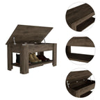 Saturn Storage Bench with Liftable Top, Lower Shelf, and 4 Legs, Dark Brown
