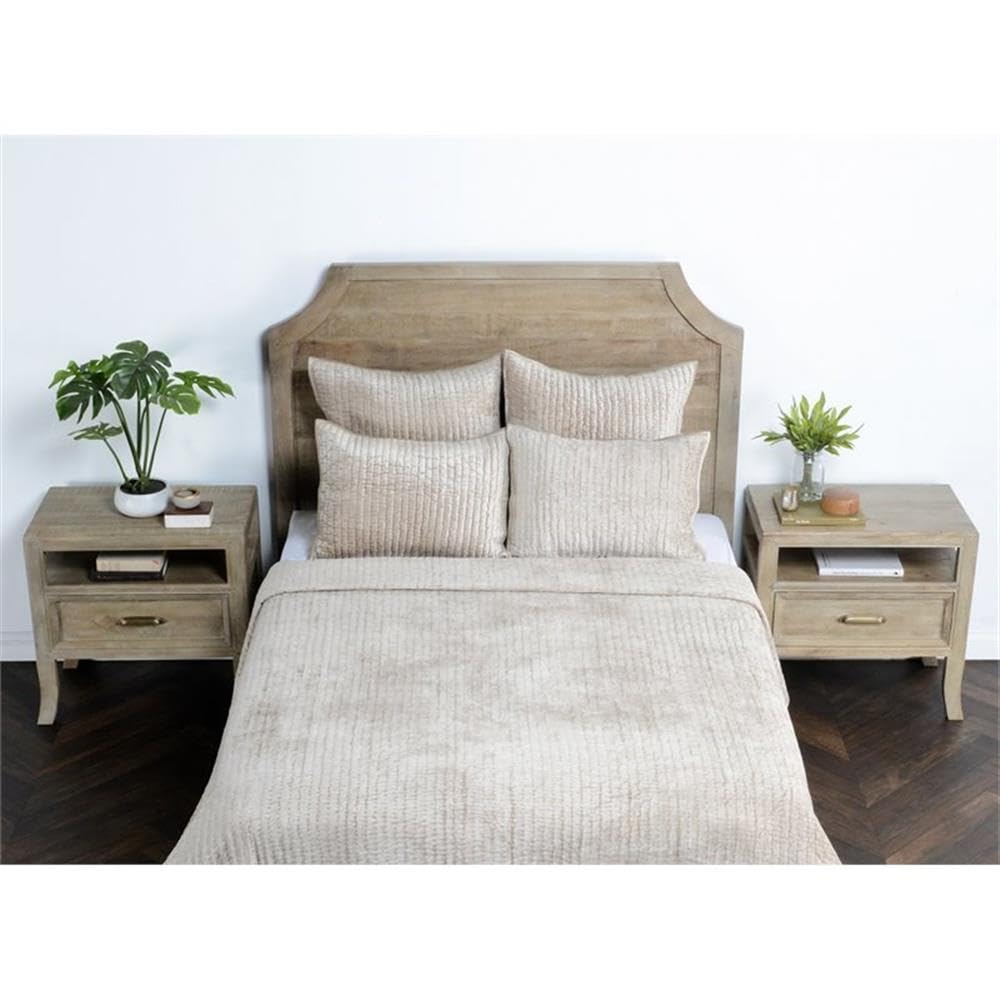 Kosas Home Dimitry 26X26 Velvet And Solid Cotton Euro Sham In Pebble Beige