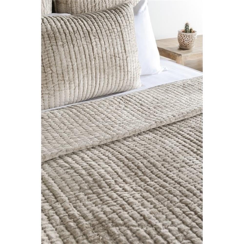 Kosas Home Dimitry 26X26 Velvet And Solid Cotton Euro Sham In Pebble Beige