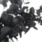 Tinsow 10 Pcs Black Artificial Eucalyptus Branches Stems Faux Eucalyptuses Real Touch Leaf Gathic Theme Party Bouquet Centerpiec