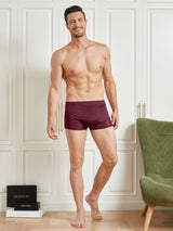 [Wine] SilkSilky  Men's Underwear 005