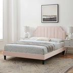 Modway MOD-6914-PNK Sienna Performance Velvet Full Platform Bed, Pink
