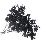 Tinsow 10 Pcs Black Artificial Eucalyptus Branches Stems Faux Eucalyptuses Real Touch Leaf Gathic Theme Party Bouquet Centerpiec