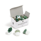 U Brands Succulent Push Pins Set, Office Supplies, Three Assorted Styles, 9 Count