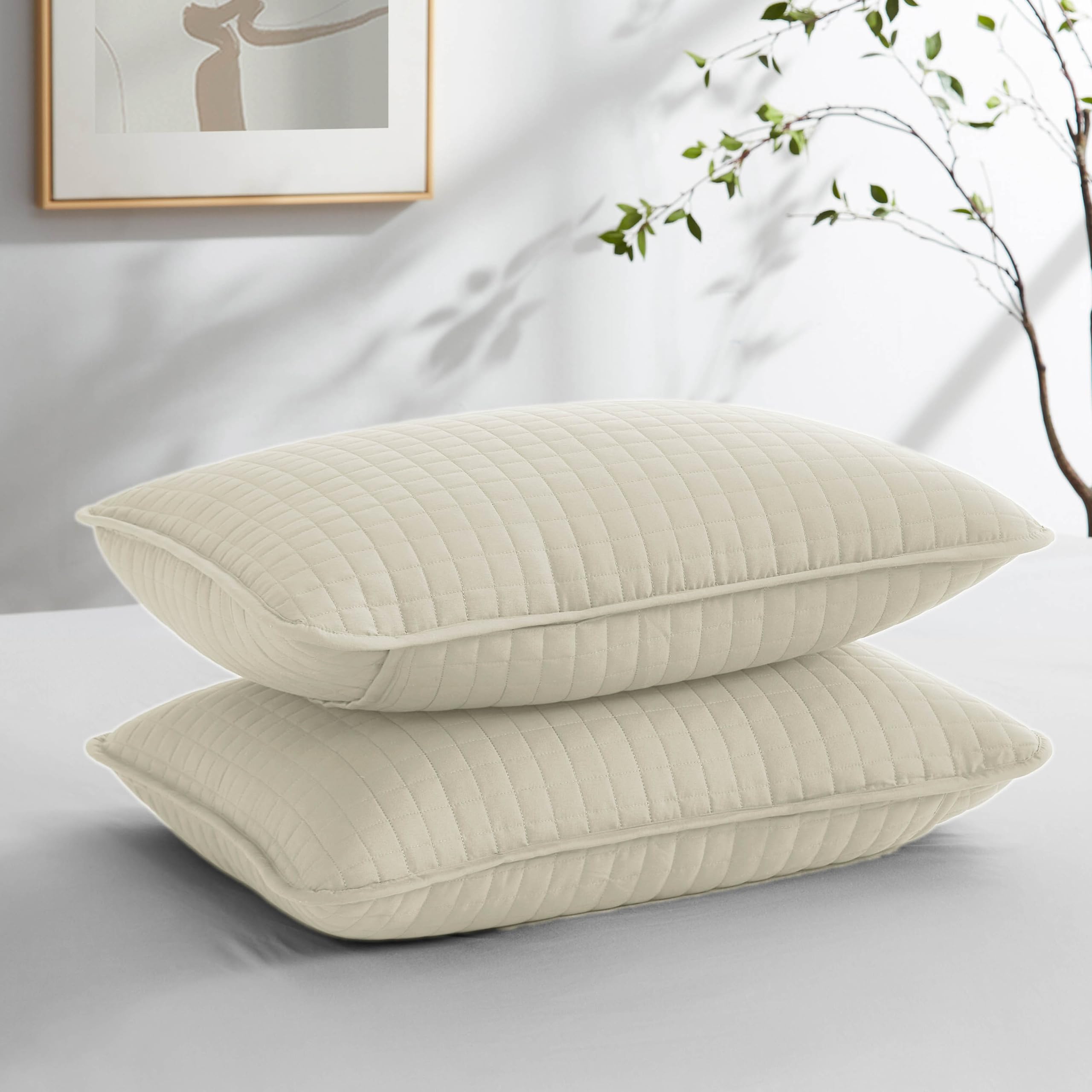 Southshore Fine Living, Inc. Vilano Springs - Pair Of Quilted Pillow Sham Covers (No Inserts), 20' X 36', Light Cream