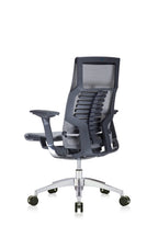 Eurotech Seating Powerfit Charcoal Frame-All Mesh Desk Chair, Black