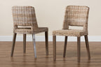 Baxton Studio Bohemian 2-Piece Dining Chair Set in Greywashed and Brown Finish