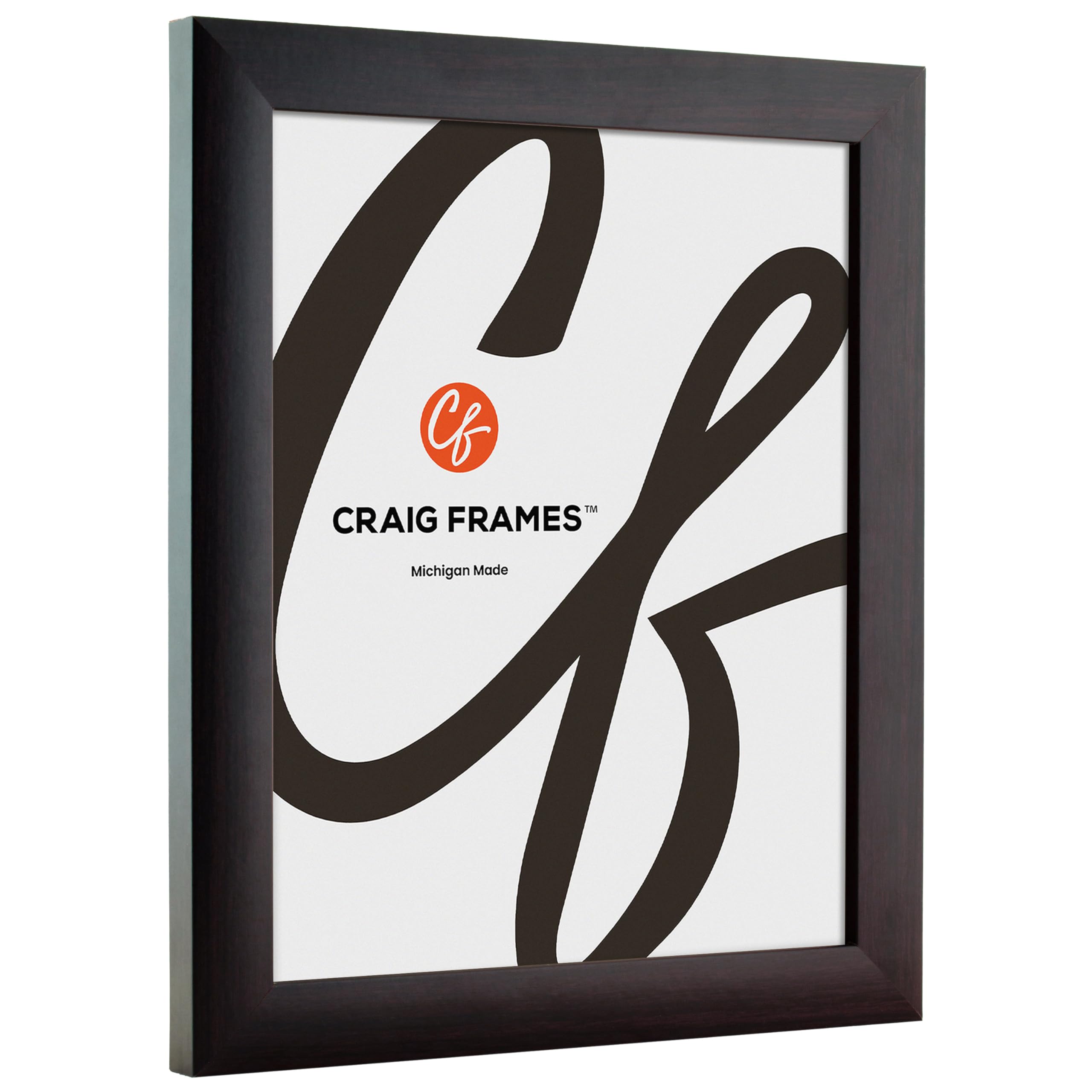 Craig Frames Contemporary, 16X27 Picture Frame, Brazilian Walnut