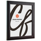 Craig Frames Contemporary, 21X24 Picture Frame, Brazilian Walnut
