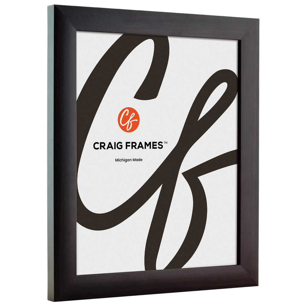Craig Frames Contemporary, 26X38 Picture Frame, Brazilian Walnut