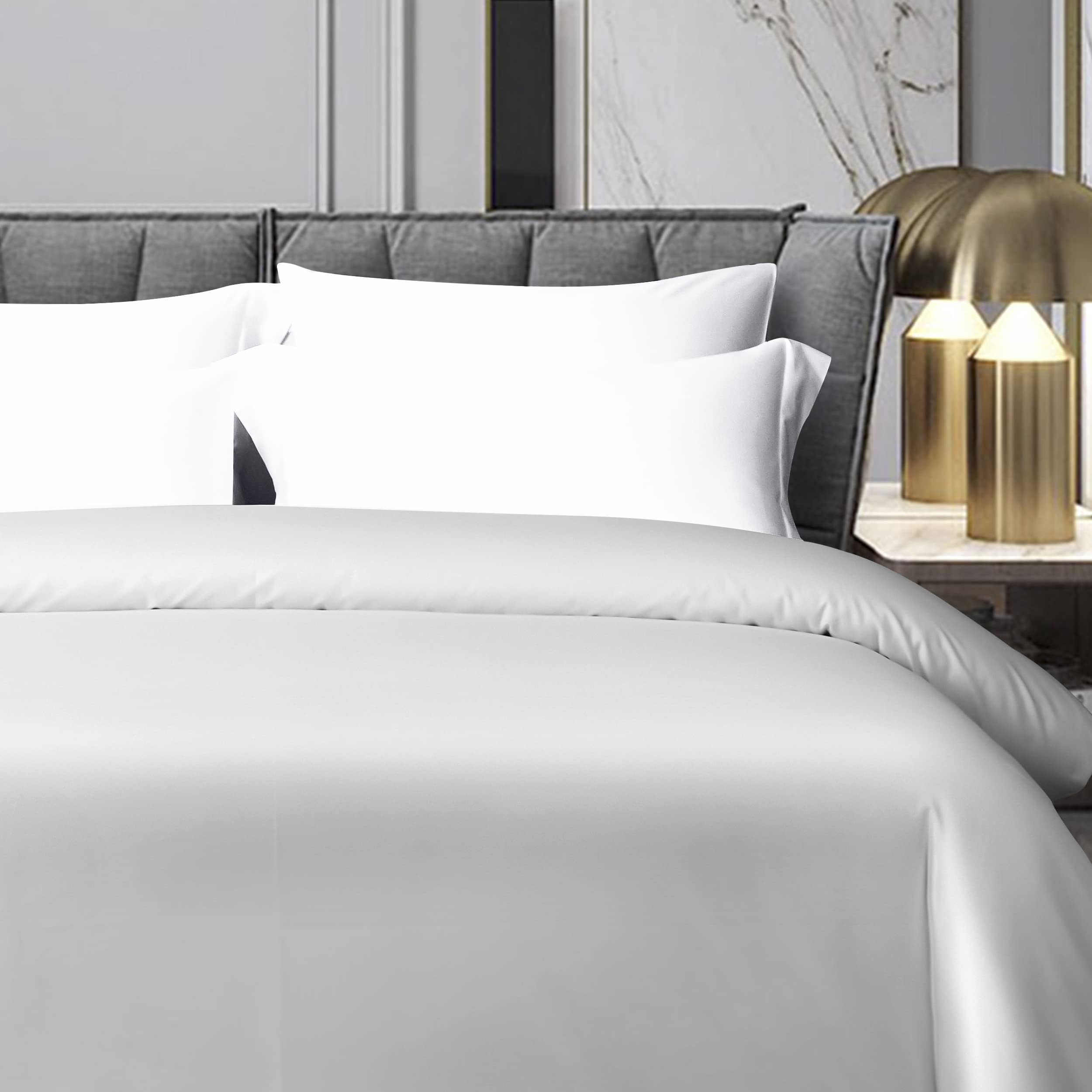 Ntbay 2 Pack 500 Thread Count 100% Egyptian Cotton King Pillow Shams, Super Soft And Breathable Oxford Pillowcases For Bed, 20X36 Inches, White