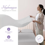 Carressa Linen 100% Egyptian Cotton Sheets - 600 Thread Count 4 Pc California King Size Sheet Set, Soft, Cooling, High Thread Co