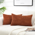 Fancy Homi 2 Packs Rust Long Lumbar Decorative Throw Pillow Covers 16X24 Inch For Couch Bed Sofa, Farmhouse Boho Home Decor, Sof
