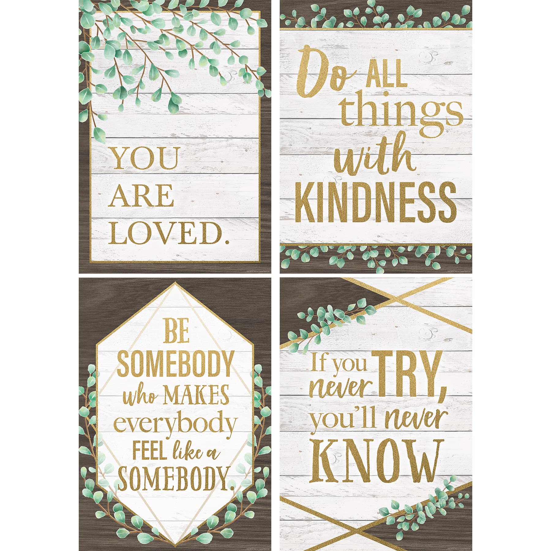 Teacher Created Resources Eucalyptus Posters, 13-3/8'' x 19'', Set of 4