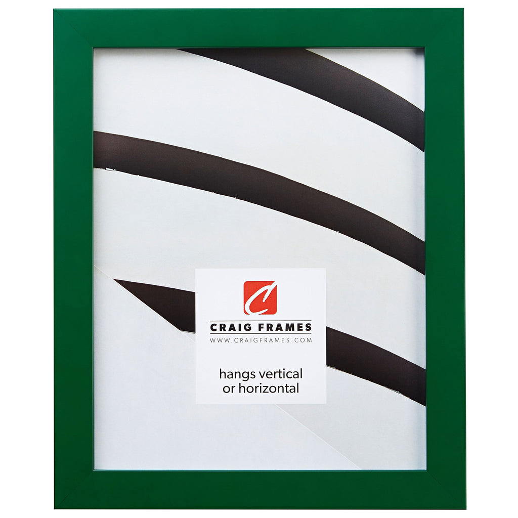 Craig Frames Confetti, Modern Green Picture Frame, 13 x 19 Inch
