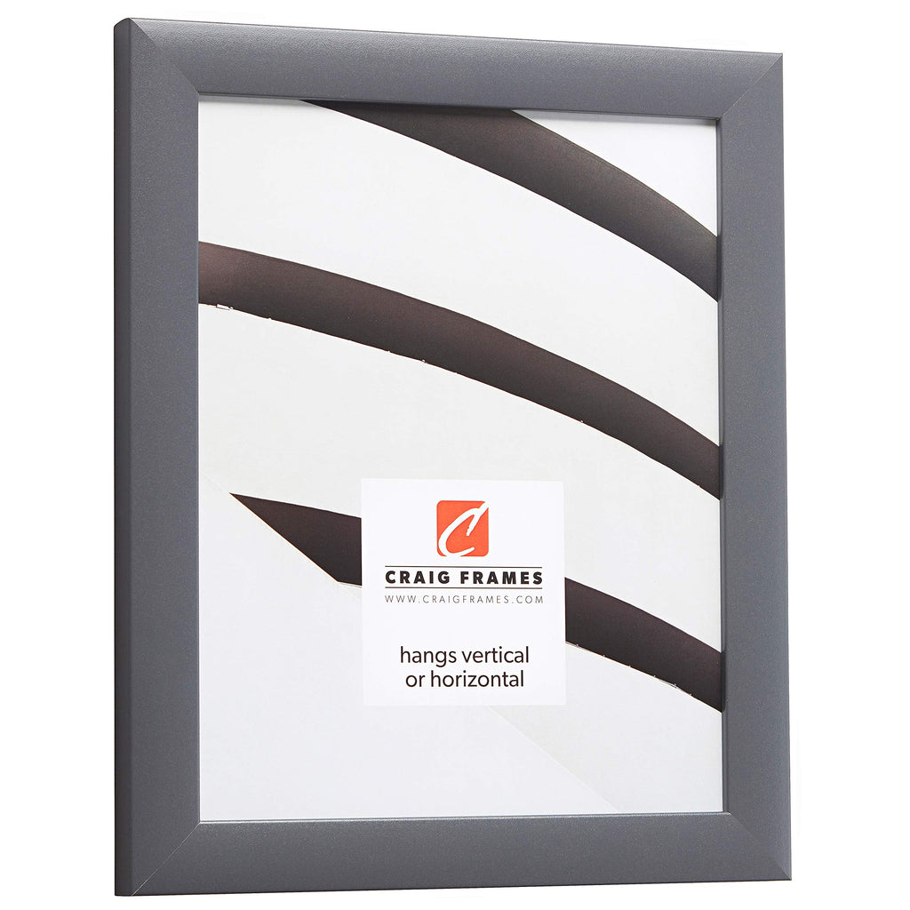 Craig Frames Contemporary Picture Frame, 12 X 16 Inch, Grey