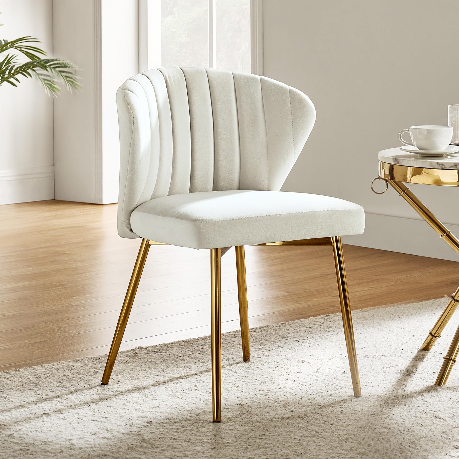 HULALA HOME Velvet Dining Chair Modern Small Vanity Chair with Back Metal Legs Elegant Tufted Armless Accent Chair Living Room B