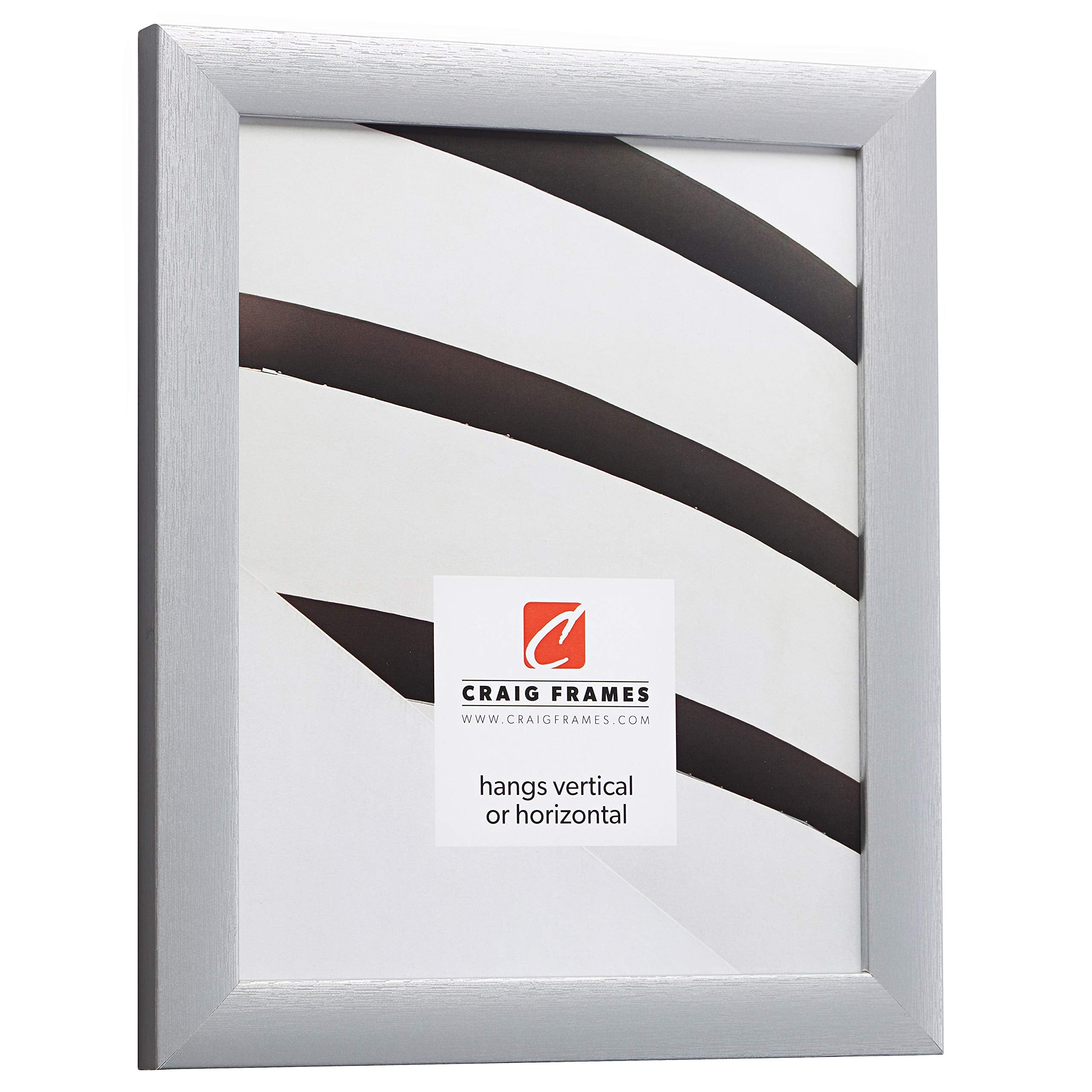 Craig Frames Contemporary Picture Frame, 10 X 12 Inch, Brushed Silver