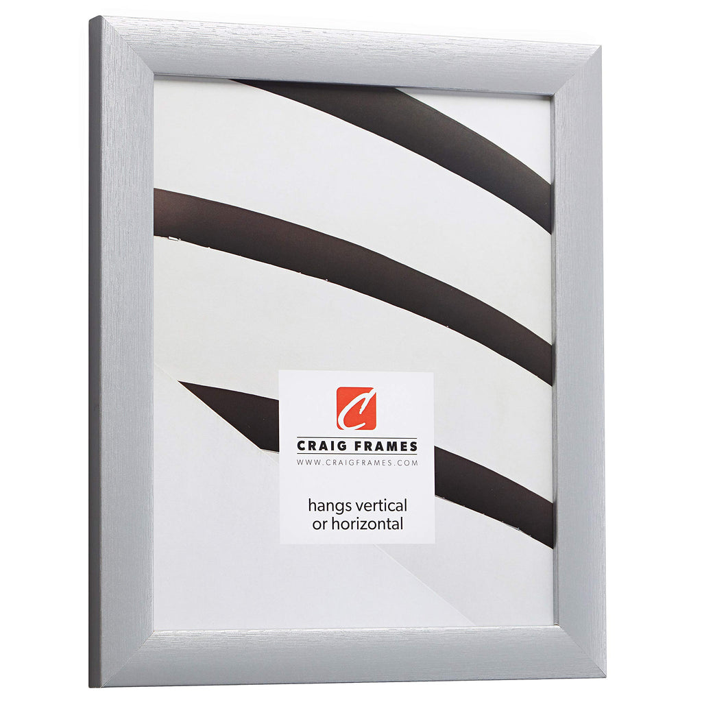 Craig Frames Contemporary Picture Frame, 15 X 22 Inch, Brushed Silver
