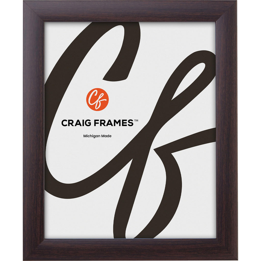 Craig Frames Contemporary, 25x32 Picture Frame, Brazilian Walnut
