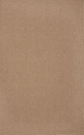Daylon Monaco Sisal Mc200 Ecru 2'X3' Rug Mc200Ec2X3