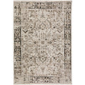 Antalya Ay4 Gray Transitional Rug Rectangle 5' 3" X 7 ' 8"