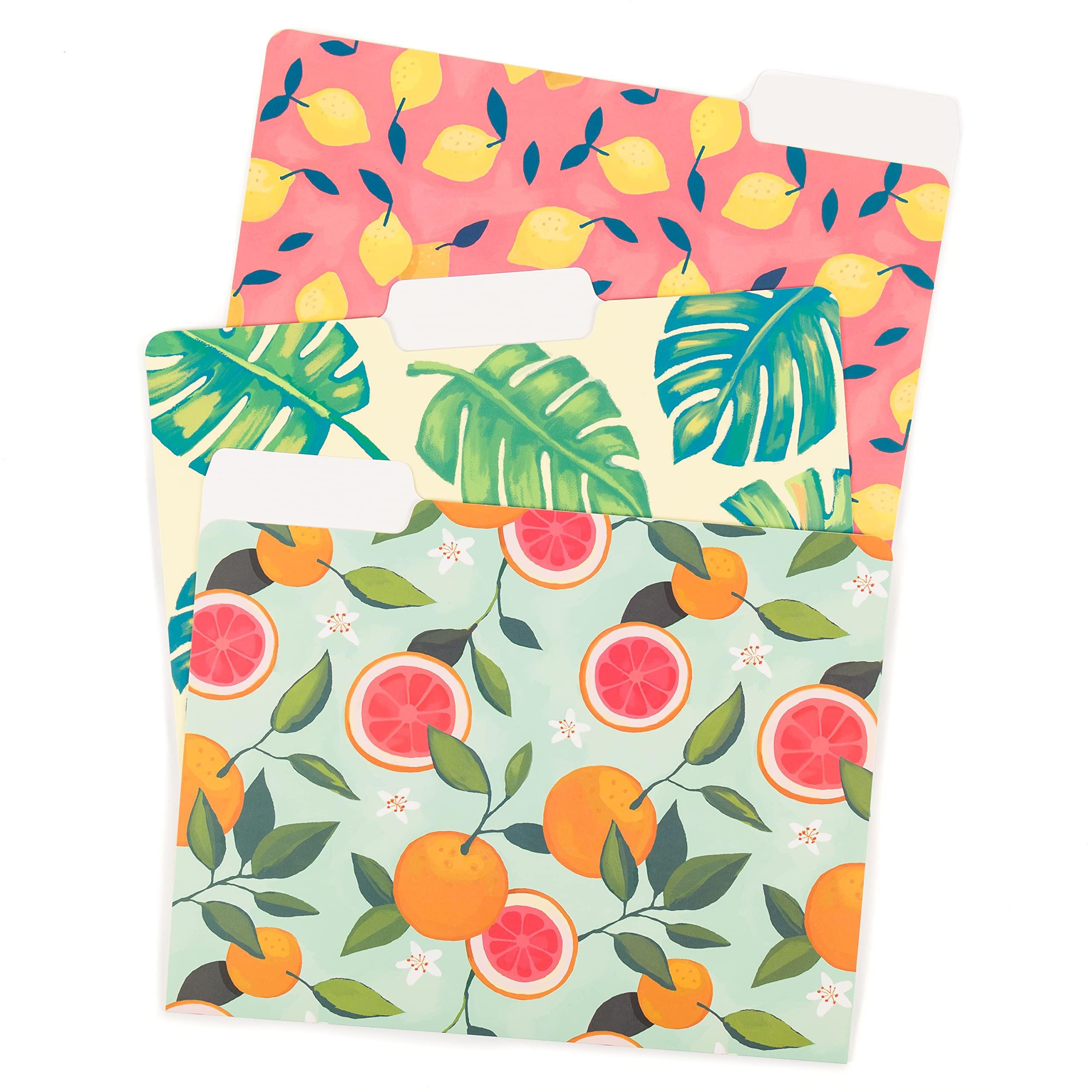 U Brands Fashion File Folders Set, Office Supplies, Citrus Squeeze, Fsc Certified, Assorted Styles 6 Count