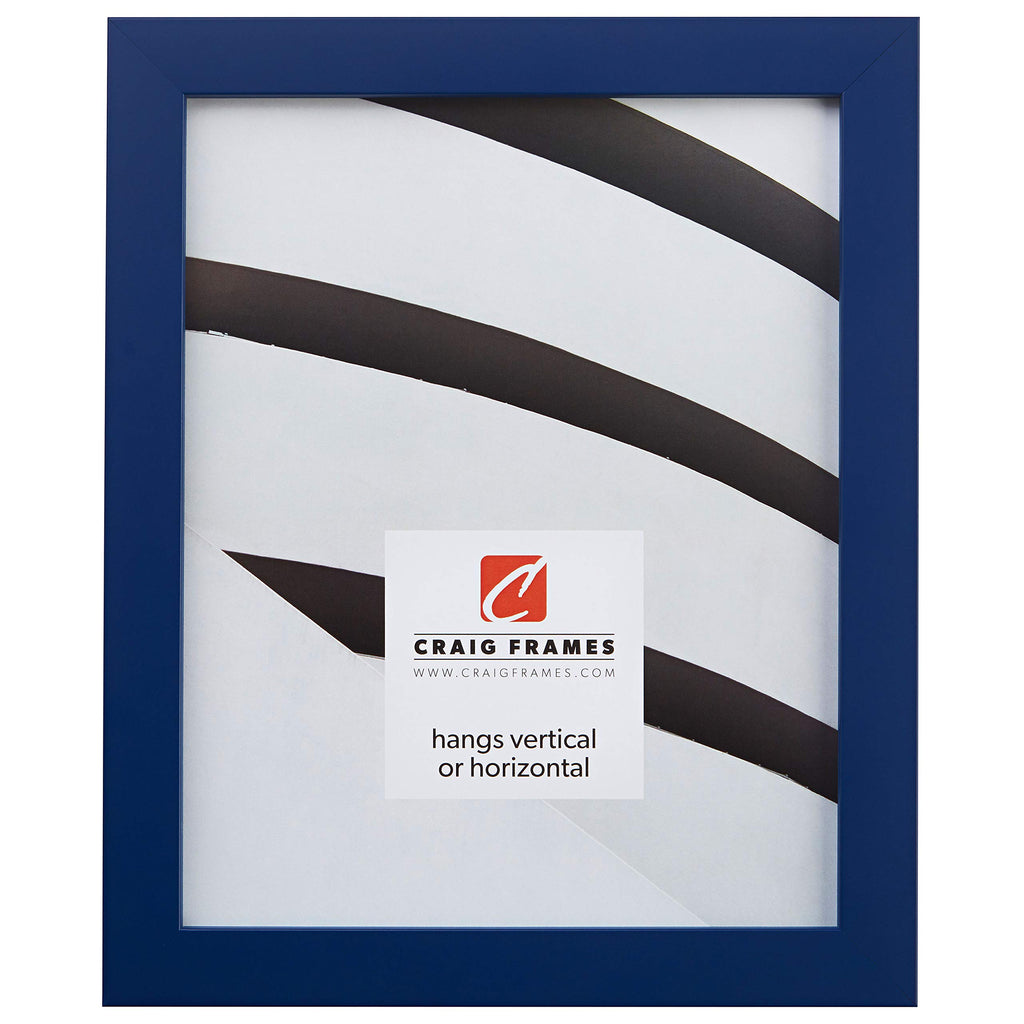 Craig Frames Confetti, Modern Blue Picture Frame, 17 x 22 Inch