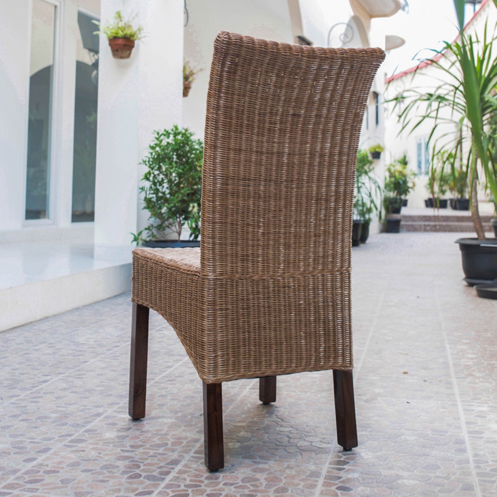 Campbell Salak Brown Rattan Wicker Stained Finish Dining Chairs with Mahogany Hardwood Frame (Set of 2)